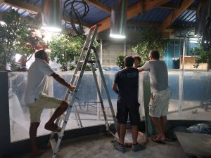 Picture of Ivan Hevia