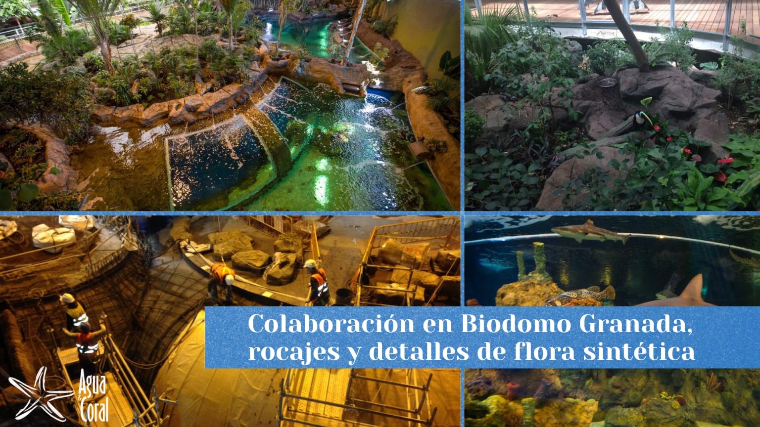 Tematizacion de grandes acuarios y biomas para parque de las ciencias de granada