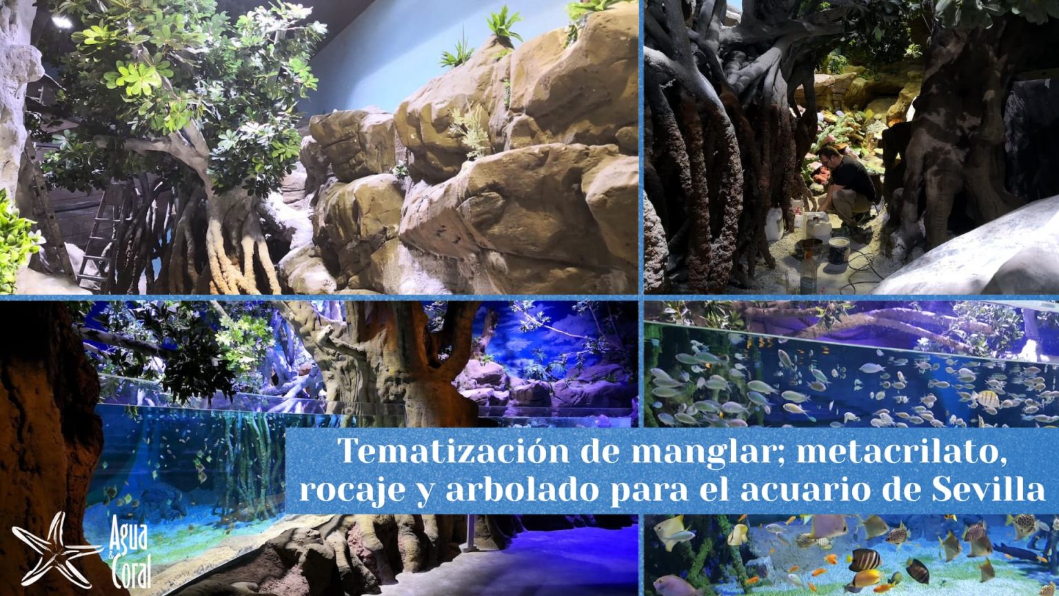 Tematizacion de biomas, recreacion artificial de elementos naturales para escenografías