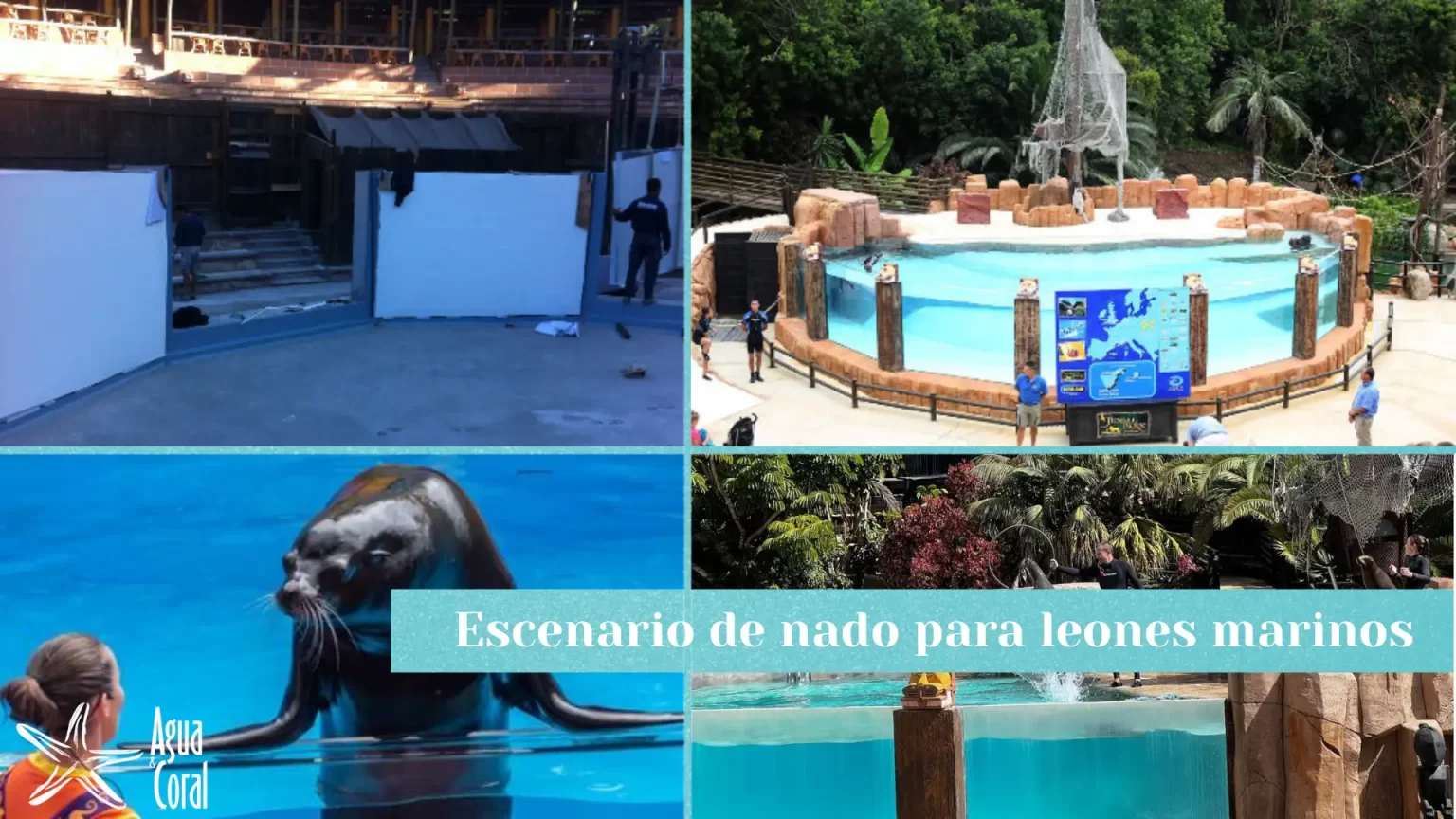 Instalacion de metecrilato como ventana de contencion subacuática para show de leones marinos