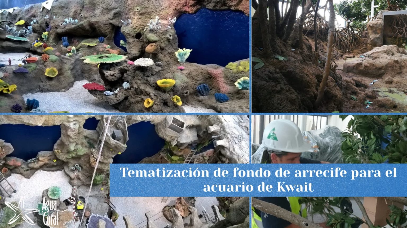 Tematizaciones de fondo de arrecife para acuario en kwait