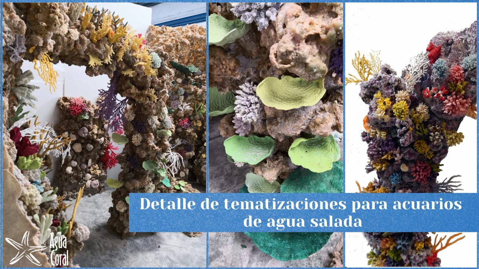 Detalle tematizaciones para acuarios de agua salada